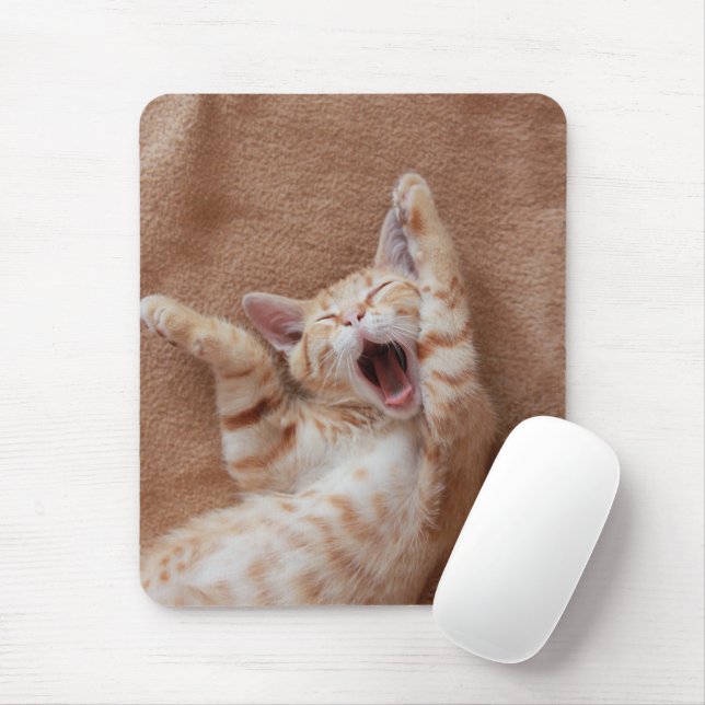 Mousepad Bebês Mais Pobres | Ginger Kitten Yawning (Com mouse)