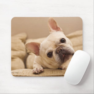 Mousepad Bebês Mais Pobres Inclinação da cabeça do Bulldo