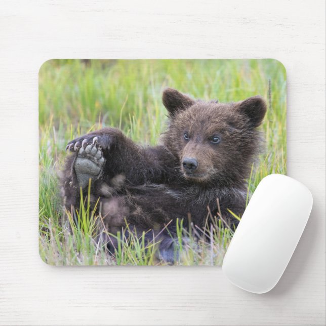 Mousepad Bebês Mais Pobres | Jogo De Urso Castanho (Com mouse)