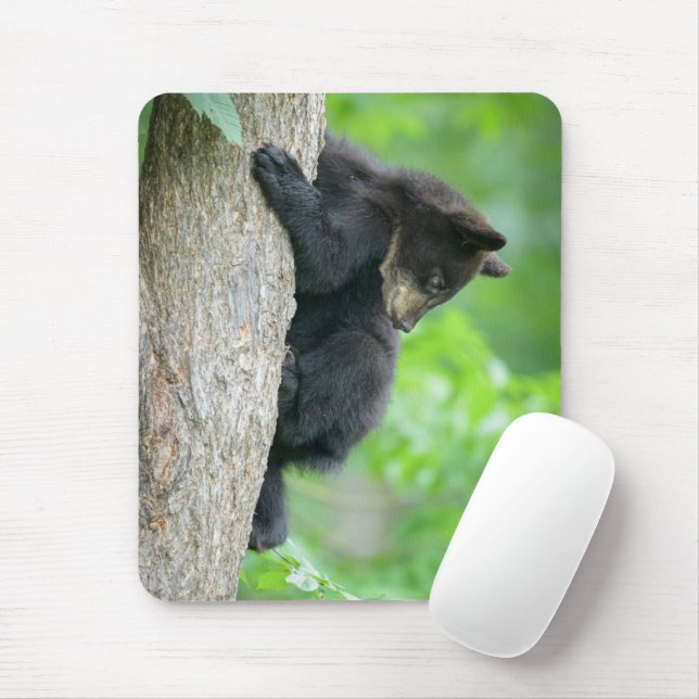 Mousepad Bebês Mais Pobres | Jovem Urso Negro (Com mouse)