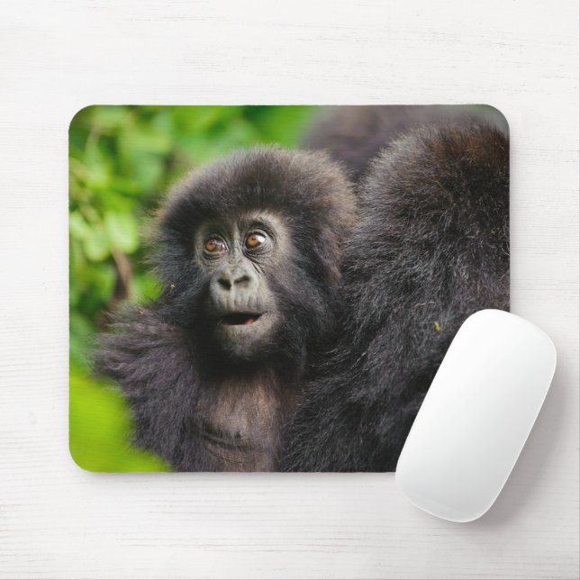 Mousepad Bebês Mais Pobres | Jovens Montanhas Gorilla (Com mouse)