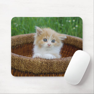 Mousepad Bebês Mais Pobres Kitten Azul