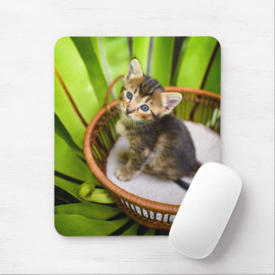 Mousepad Bebês Mais Pobres   Kitten no cesto