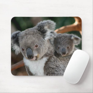 Mousepad Bebês Mais Pobres   Koala e Joey