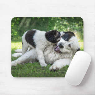 Mousepad Bebês Mais Pobres Landseer Puppy