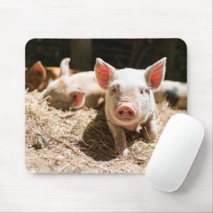 Mousepad Bebês Mais Pobres Leitão De Bebê Cinto