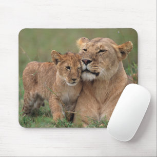 Mousepad Bebês Mais Pobres   Lion Cub & Mãe