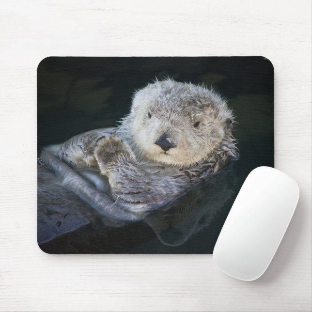 Mousepad Bebês Mais Pobres | Lontra marítima flutuante (Com mouse)