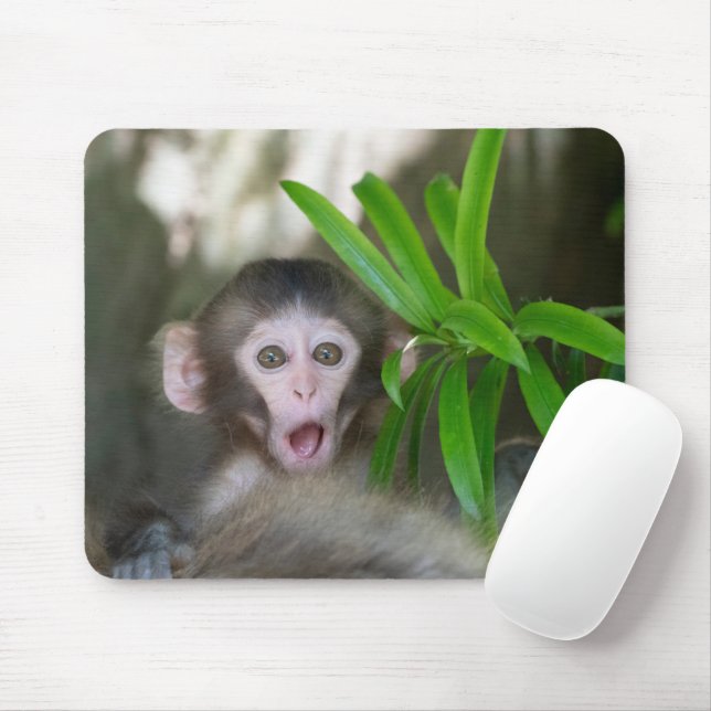 Mousepad Bebês Mais Pobres | Macaco surpreso na neve (Com mouse)