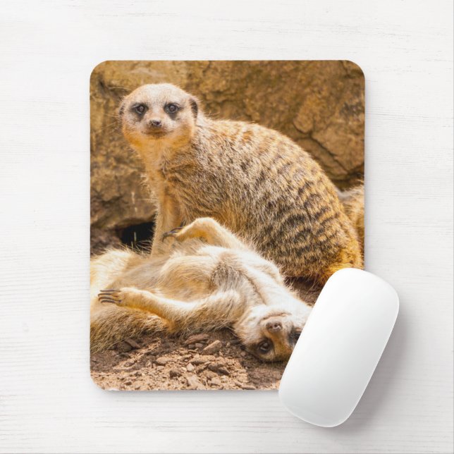 Mousepad Bebês Mais Pobres | Meerkats para Jovens (Com mouse)