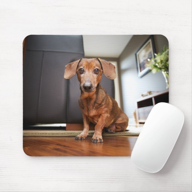 Mousepad Bebês Mais Pobres | Mini Dachshund Puppy (Com mouse)