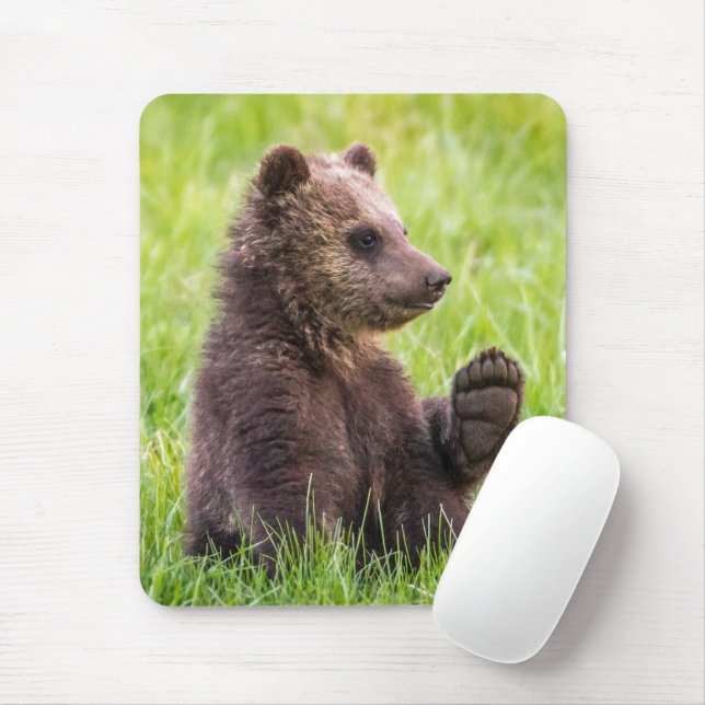 Mousepad Bebês Mais Pobres | Onda De Cubo De Urso Castanho (Com mouse)