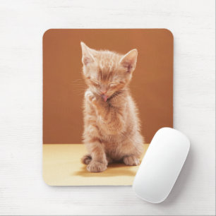 Mousepad Bebês Mais Pobres Orange Tabby Kitten