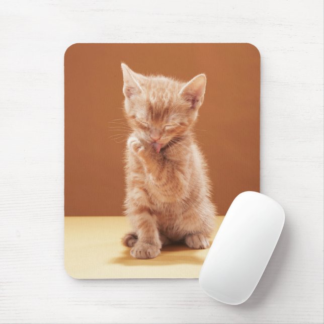 Mousepad Bebês Mais Pobres | Orange Tabby Kitten (Com mouse)