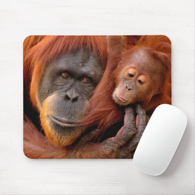 Mousepad Bebês Mais Pobres | Orangutan Mãe e Bebê (Com mouse)