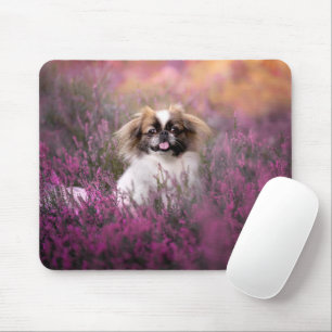 Mousepad Bebês Mais Pobres   Pekingese Puppy