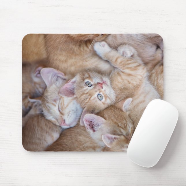 Mousepad Bebês Mais Pobres | Película De Gato Laranja (Com mouse)