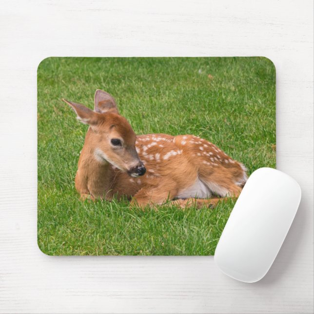 Mousepad Bebês Mais Pobres | Pequena Fawn (Com mouse)