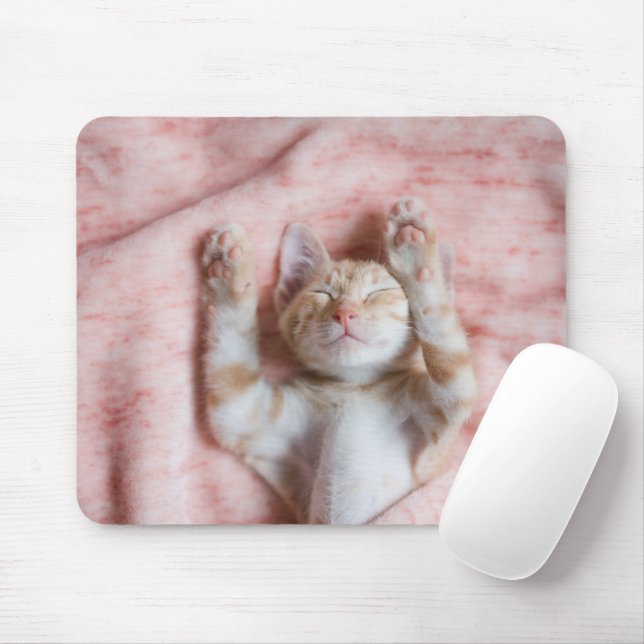 Mousepad Bebês Mais Pobres | Pequeno Gato De Laranja (Com mouse)