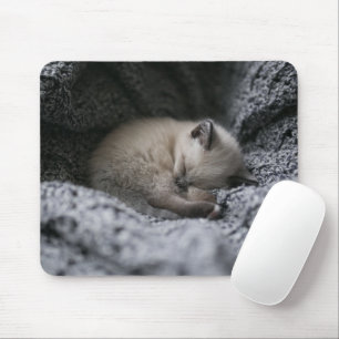 Mousepad Bebês Mais Pobres Pequeno Gato Dormindo