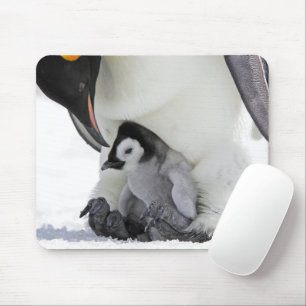 Mousepad Bebês Mais Pobres Pinguim-imperador
