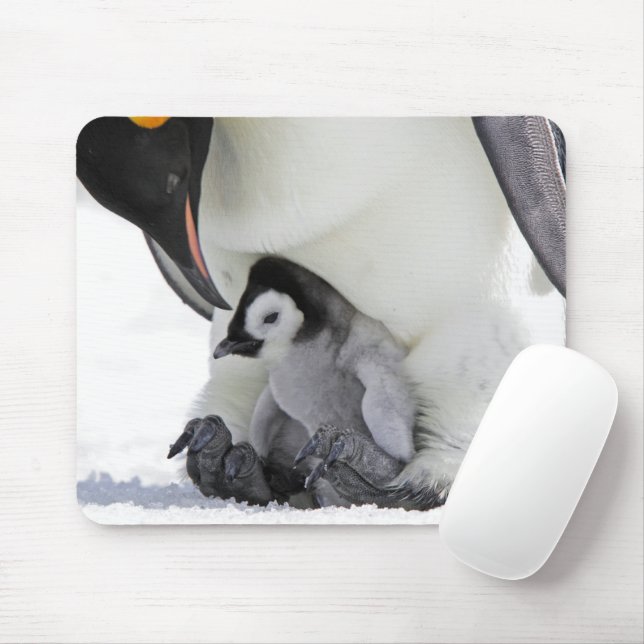 Mousepad Bebês Mais Pobres | Pinguim-imperador (Com mouse)
