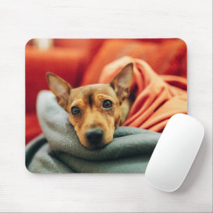 Mousepad Bebês Mais Pobres Pinscher miniatura