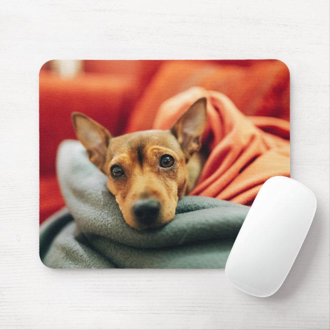 Mousepad Bebês Mais Pobres | Pinscher miniatura (Com mouse)