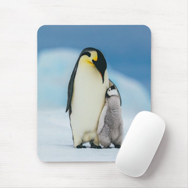 Mousepad Bebês Mais Pobres | Pintinho Imperador Pinguim (Com mouse)