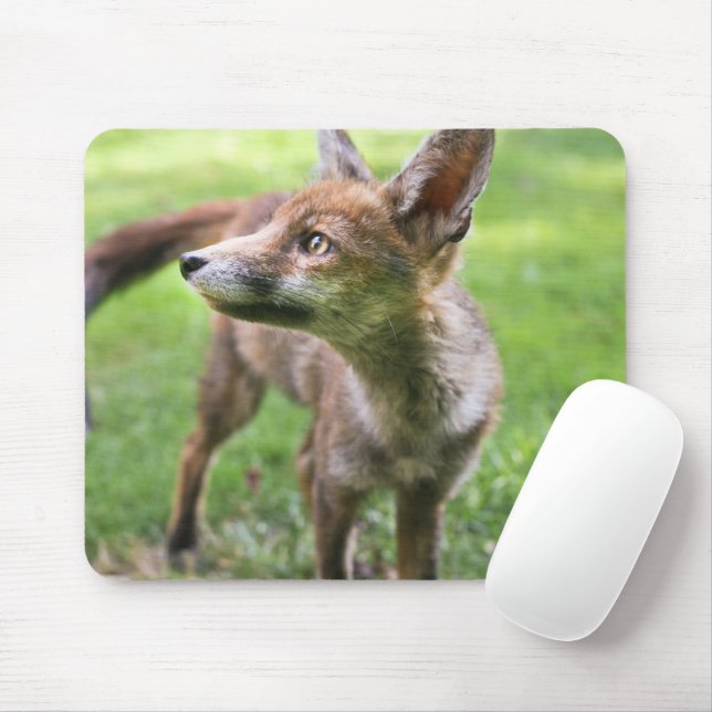 Mousepad Bebês Mais Pobres | Raposa Urbana (Com mouse)