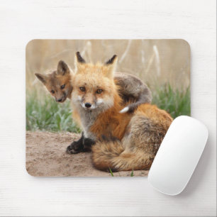 Mousepad Bebês Mais Pobres Raposa vermelha e bebê