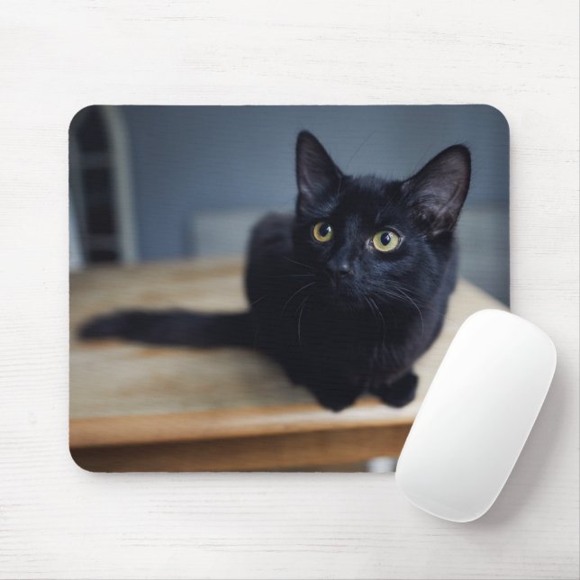 Mousepad Bebês Mais Pobres | Retrato de um Gato Negro (Com mouse)