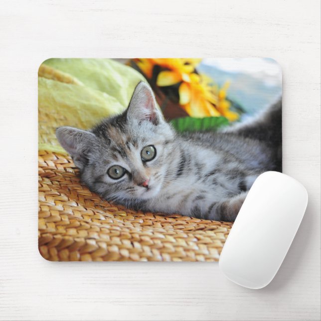 Mousepad Bebês Mais Pobres | Salto de Kitten (Com mouse)