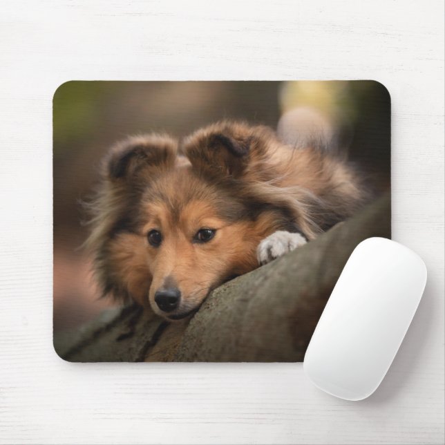 Mousepad Bebês Mais Pobres | Shetland Sheepdog Puppy (Com mouse)
