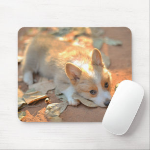 Mousepad Bebês Mais Pobres Shy Corgi