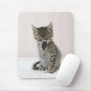 Mousepad Bebês Mais Pobres Tabby Kitten De Licença