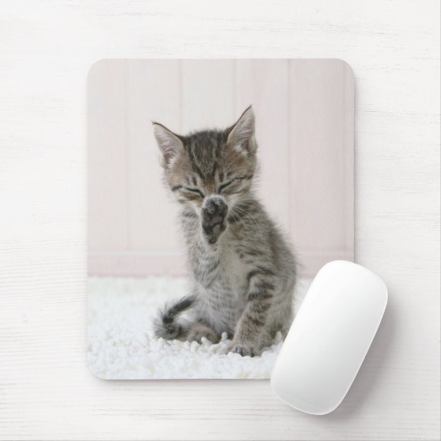 Mousepad Bebês Mais Pobres | Tabby Kitten De Licença (Com mouse)