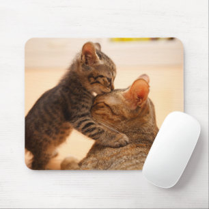 Mousepad Bebês Mais Pobres Tabby Kitten Kiss