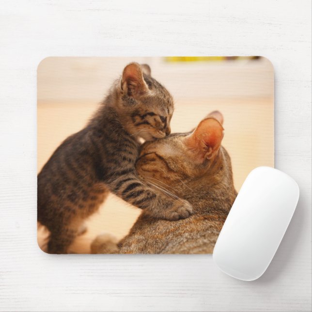 Mousepad Bebês Mais Pobres | Tabby Kitten Kiss (Com mouse)