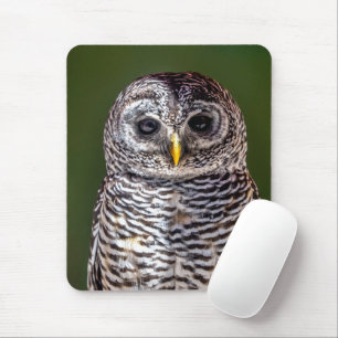 Mousepad Bebês Mais Pobres Tawny Owl