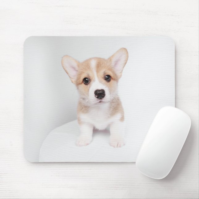 Mousepad Bebês Mais Pobres | Tiny Corgi (Com mouse)