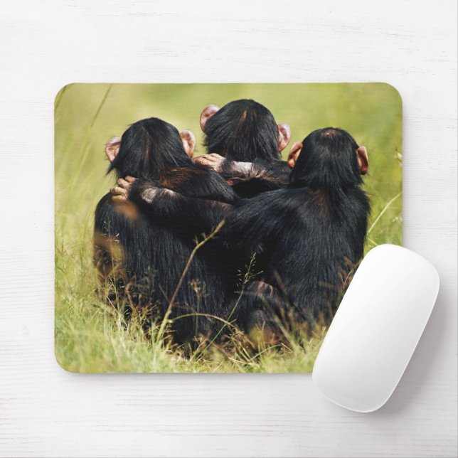 Mousepad Bebês Mais Pobres | Três Chimpanzés (Com mouse)