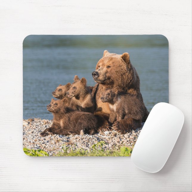 Mousepad Bebês Mais Pobres | Urso-Mãe e Cubos (Com mouse)