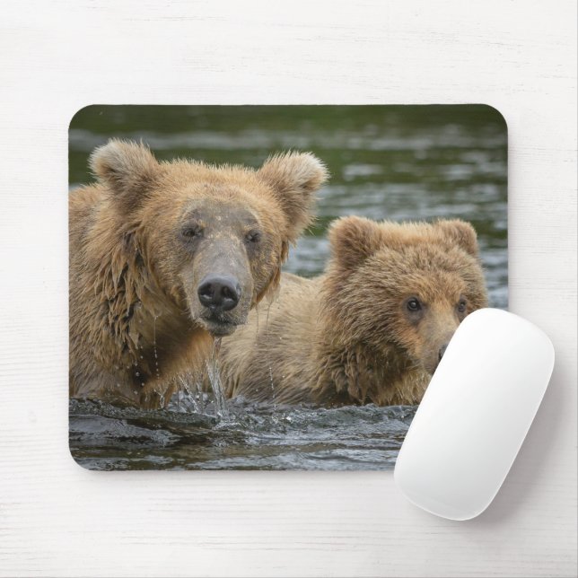 Mousepad Bebês Mais Pobres | Urso-Mama e Cubos (Com mouse)