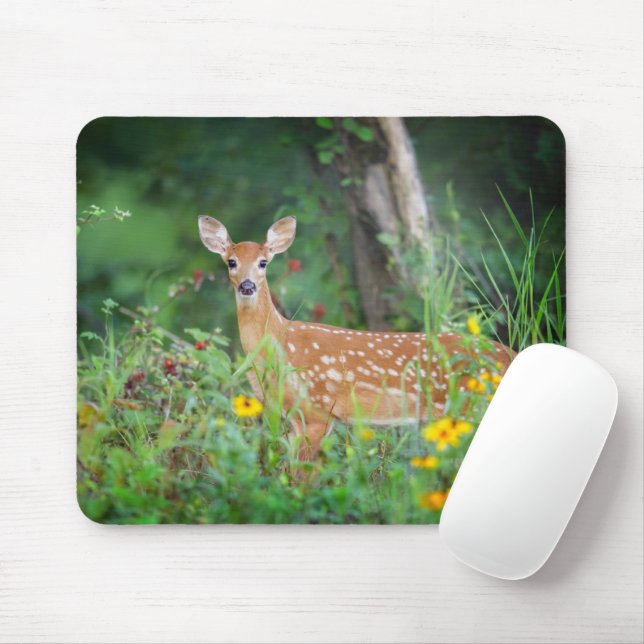 Mousepad Bebês Mais Pobres | Veado branco em Daisies (Com mouse)