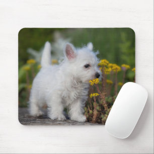 Mousepad Bebês Mais Pobres   West Highland White Terrier
