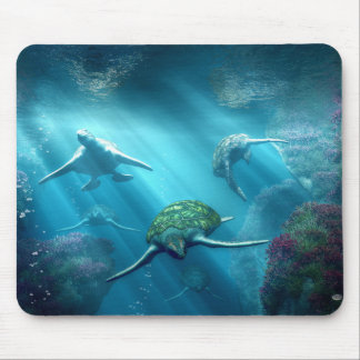 Mousepad Beco da tartaruga