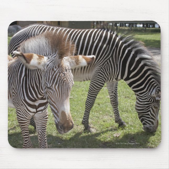 Mousepad Bedfordshire, Inglaterra (Frente)