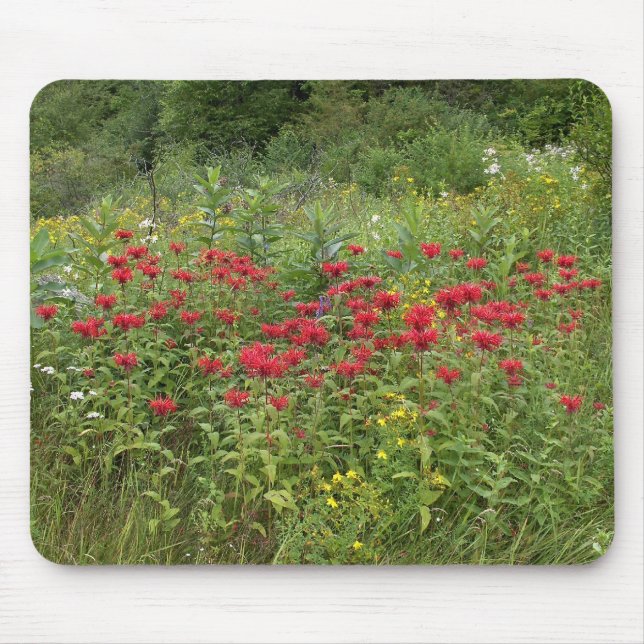 Mousepad Bee Balm (Bergamot) (Frente)