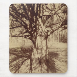 Mousepad Beech Tree (por Eugène Atget)